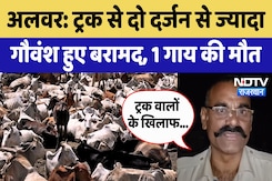 Alwar: Track से दो दर्जन से ज्यादा गौवंश हुए बरामद, 1 गाय की मौत Alwar: Track से दो दर्जन से ज्यादा गौवंश हुए बरामद, 1 गाय की मौत