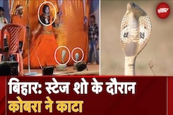 Bihar Snake News: सांप के साथ Dance करना पड़ा भारी, शो के दौरान सांप ने काटा Bihar Snake News: सांप के साथ Dance करना पड़ा भारी, शो के दौरान सांप ने काटा