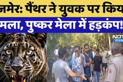 पैंथर ने युवक पर किया हमला, पुष्कर मेला में हड़कंप