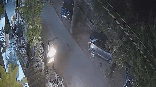 VIDEO: सड़क पर चल रहे कुत्ते पर झपट्टा मार कर पैंथर ने किया हमला, मुंह में दबा कर भाग निकला   VIDEO: सड़क पर चल रहे कुत्ते पर झपट्टा मार कर पैंथर ने किया हमला, मुंह में दबा कर भाग निकला