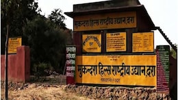 Good News: राजस्थान के मुकुंदरा टाइगर रिजर्व में 3 बाघ लाने की तैयारी, गागरोन रेंज में खुलेंगे दो गेट
