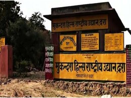 Good News: राजस्थान के मुकुंदरा टाइगर रिजर्व में 3 बाघ लाने की तैयारी, गागरोन रेंज में खुलेंगे दो गेट