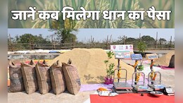 CG Dhan Kharidi: किसानों के लिए खुशखबरी, इतने घंटे के अंदर मिल जाएंगे धान के पूरे पैसे