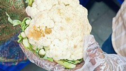 Two Restaurants In Hyderabad's Attapur Area Raided - See What Was Found