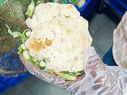 गरम पानी में ये सफेद चीज मिलाकर साफ करें फूलगोभी और पत्तागोभी, खुद बा खुद बाहर निकल जाएंगे सारे कीड़े गरम पानी में ये सफेद चीज मिलाकर साफ करें फूलगोभी और पत्तागोभी, खुद बा खुद बाहर निकल जाएंगे सारे कीड़े