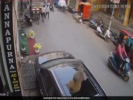 Video: Monkey Makes A "Smashing" Jump, Breaks Through Sunroof In Uttar Pradesh Video: Monkey Makes A "Smashing" Jump, Breaks Through Sunroof In Uttar Pradesh