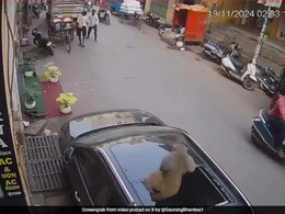 खड़ी कार पर अचानक कूद गया बंदर, टूट गया सन रूफ, मालिक का हुआ लाखों का नुकसान खड़ी कार पर अचानक कूद गया बंदर, टूट गया सन रूफ, मालिक का हुआ लाखों का नुकसान