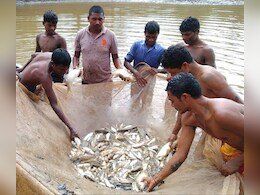 CG: 'बेस्ट इनलैंड डिस्ट्रिक्ट' अवॉर्ड के लिए छत्तीसगढ़ के इस जिले का हुआ चयन, दिल्ली में मिलेगा सम्मान  CG: 'बेस्ट इनलैंड डिस्ट्रिक्ट' अवॉर्ड के लिए छत्तीसगढ़ के इस जिले का हुआ चयन, दिल्ली में मिलेगा सम्मान