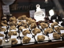 White Truffles, Italy's Gold, Hit By Climate Change