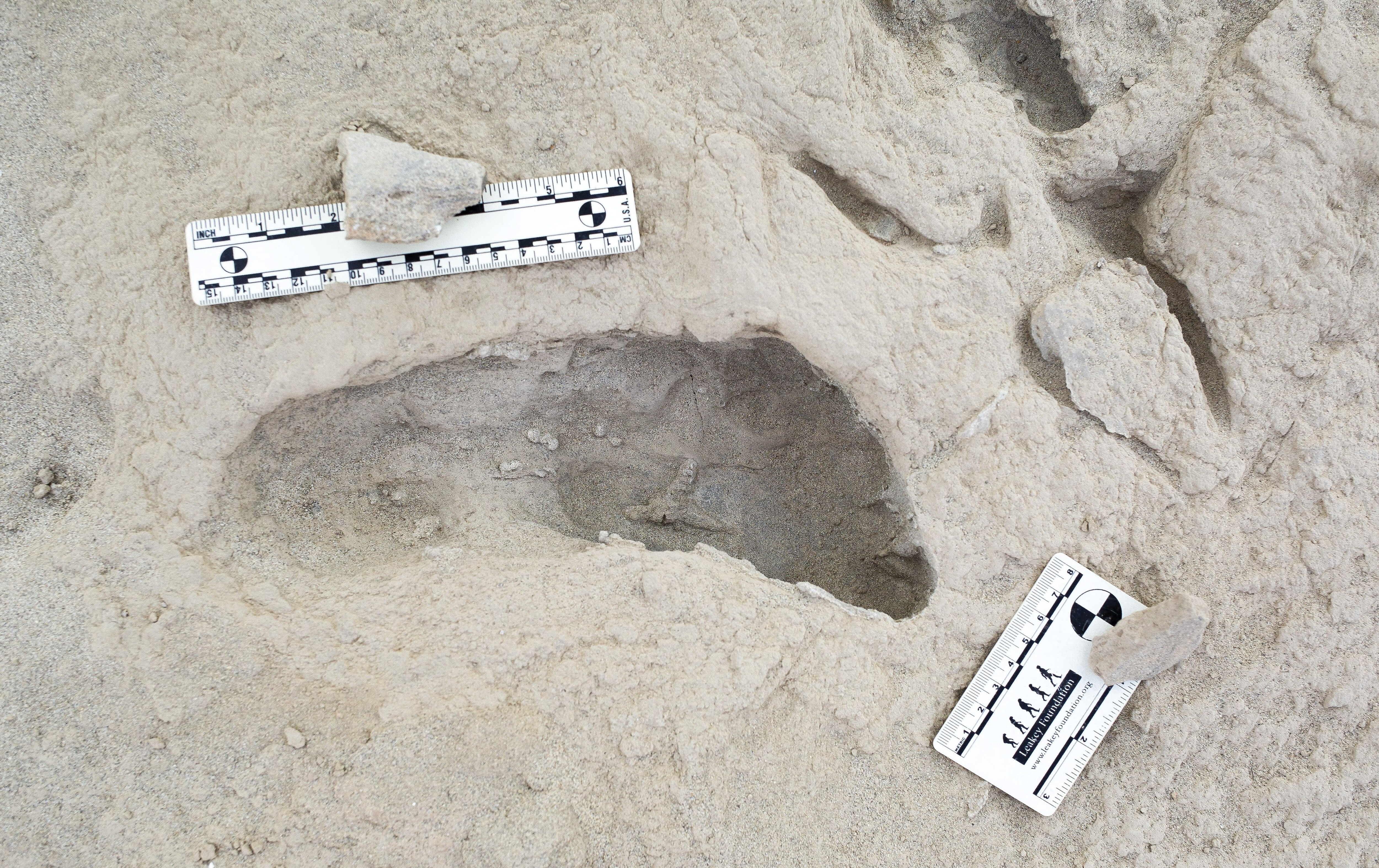 Fossil Footprints Show Two Ancient Human Ancestors 