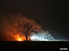 1.5 Million Deaths A Year Linked To Air Pollution From Fires: Study