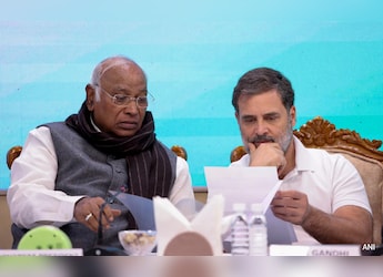 Opinion | Haryana To Bengal, Congress Is Fighting Hard - But Mostly With Itself