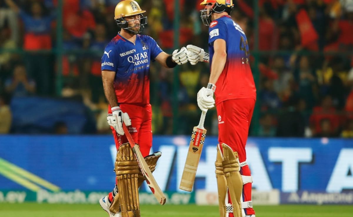 India's Top Google Searches Of 2024: IPL, Ratan Tata, BJP Lead The Trends