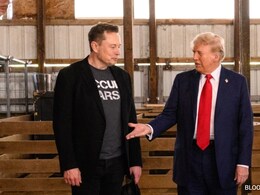 Elon Musk-Donald Trump Bromance Ends: What Happened To 'MAGA' Pair?
