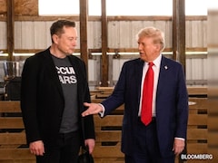 'First Buddy': Elon Musk Earns Key Position In Donald Trump's World
