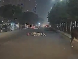Video: Biker Injured After Bull Runs Into Bike In Greater Noida