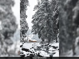After Kashmir's First Snowfall Of 2024, 5 Delightful Snow Activities To Try After Kashmir's First Snowfall Of 2024, 5 Delightful Snow Activities To Try