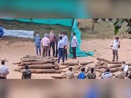 CG: जहर से बाघ की हुई मौत! पोस्टमार्टम के बाद खुला राज, जांच कर रहे अफसर 