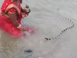 छठ पूजा के दौरान अचानक पानी में आ गया सांप, टस से मस नहीं हुई महिला, फिर जो हुआ, लोग बोले- धन्य है इनकी आस्था छठ पूजा के दौरान अचानक पानी में आ गया सांप, टस से मस नहीं हुई महिला, फिर जो हुआ, लोग बोले- धन्य है इनकी आस्था