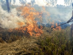 As Winter Looms, Pollution Body Takes Steps To Curb Stubble Burning