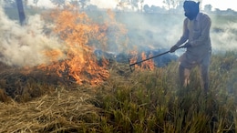 As Winter Looms, Pollution Body Takes Steps To Curb Stubble Burning