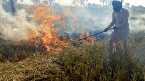 Punjab Sees Sharp Rise In Stubble Burning Incidents, 484 Cases Recorded