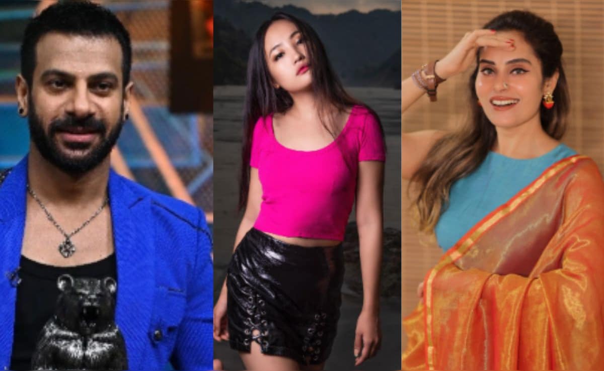 Karan Veer Mehra, Shrutika Arjun Fight, Chum Darang Gets A Panic Attack