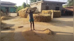 CG Dhan Kharidi: अब किसानों के सामने आई नई परेशानी, धान बेचने के लिए करना पड़ रहा ऐसा संघर्ष