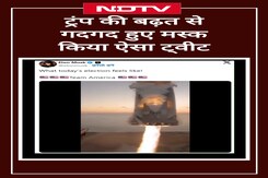 US Presidential Election 2024: Donald Trump को जीतता देख क्यों गदगद हुए Elon Musk, कहा ये US Presidential Election 2024: Donald Trump को जीतता देख क्यों गदगद हुए Elon Musk, कहा ये