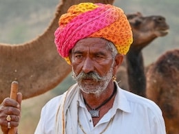 NDTV Ground Report: ऊंटों के संरक्षण में कितना कारगर है जैसलमेर मॉडल? मिस्टर डेजर्ट ने बताई पूरी बात