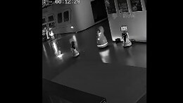 Watch: Pint-Sized Robot Kidnaps 12 Big Robots From Showroom In China
