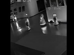 Watch: Pint-Sized Robot Kidnaps 12 Big Robots From Showroom In China