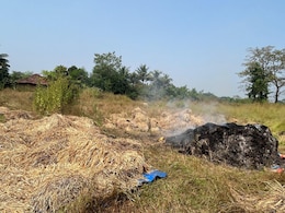 राजकीय वादातून संतापजनक कृत्य? अज्ञातांनी भाताच्या पिकाला लावली आग, शेतकऱ्याच्या तोंडचा घास हिरावला