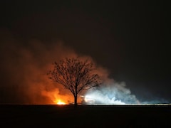 Centre Plans To Examine Burnt Area After Farmers Timing Crop Fires