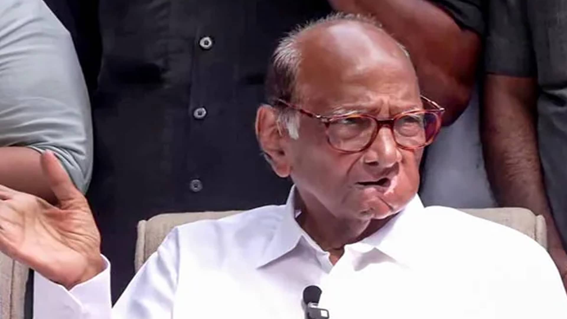 "Dharavi No Issue": Sharad Pawar Busts Rahul Gandhi's Attack On Gautam Adani