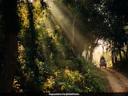 Wildlife Cameras Surveil Women Without Consent In Corbett National Park: Study Wildlife Cameras Surveil Women Without Consent In Corbett National Park: Study