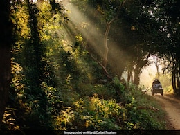 जिम कॉर्बेट में ड्रोन के जरिए हो रही गांव की महिलाओं की निगरानी, तस्वीरें भी की वायरल: रिपोर्ट