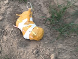 IND-PAK Border: श्री गंगानगर में BSF को मिली बड़ी सफलता, पाकिस्तान से आई 10 करोड़ की हेरोइन जब्त 