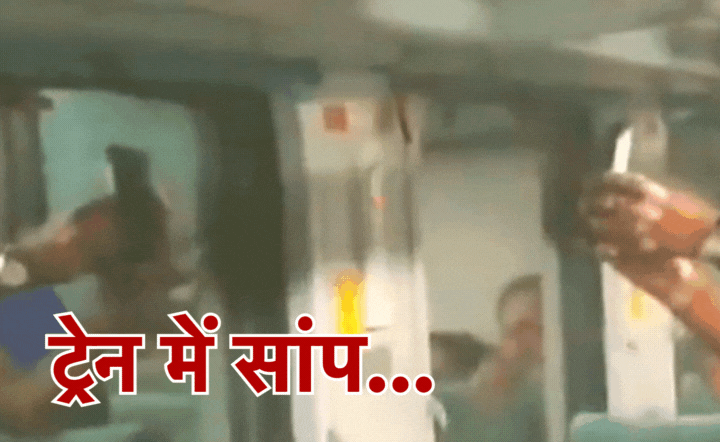 Snake In The Train: जन शताब्दी एक्सप्रेस में हड़कंप, सीट के ऊपर लहराता नजर आया सांप, वायरल हो रहा वीडियो