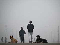 Delhi's Toxic Smog Exceeds 60 Times WHO Limit, Schools Go Online