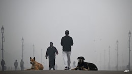 10 Effective Tips To Protect Yourself From Deadly Pollution