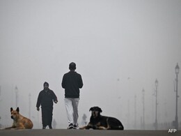 10 Effective Tips To Protect Yourself From Deadly Pollution 10 Effective Tips To Protect Yourself From Deadly Pollution