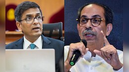 'सरन्यायाधीशांपेक्षा कायद्याचे व्याख्याते झाले असते तर...'; उद्धव ठाकरेंचा न्या. डीवाय चंद्रचूडांवर निशाणा