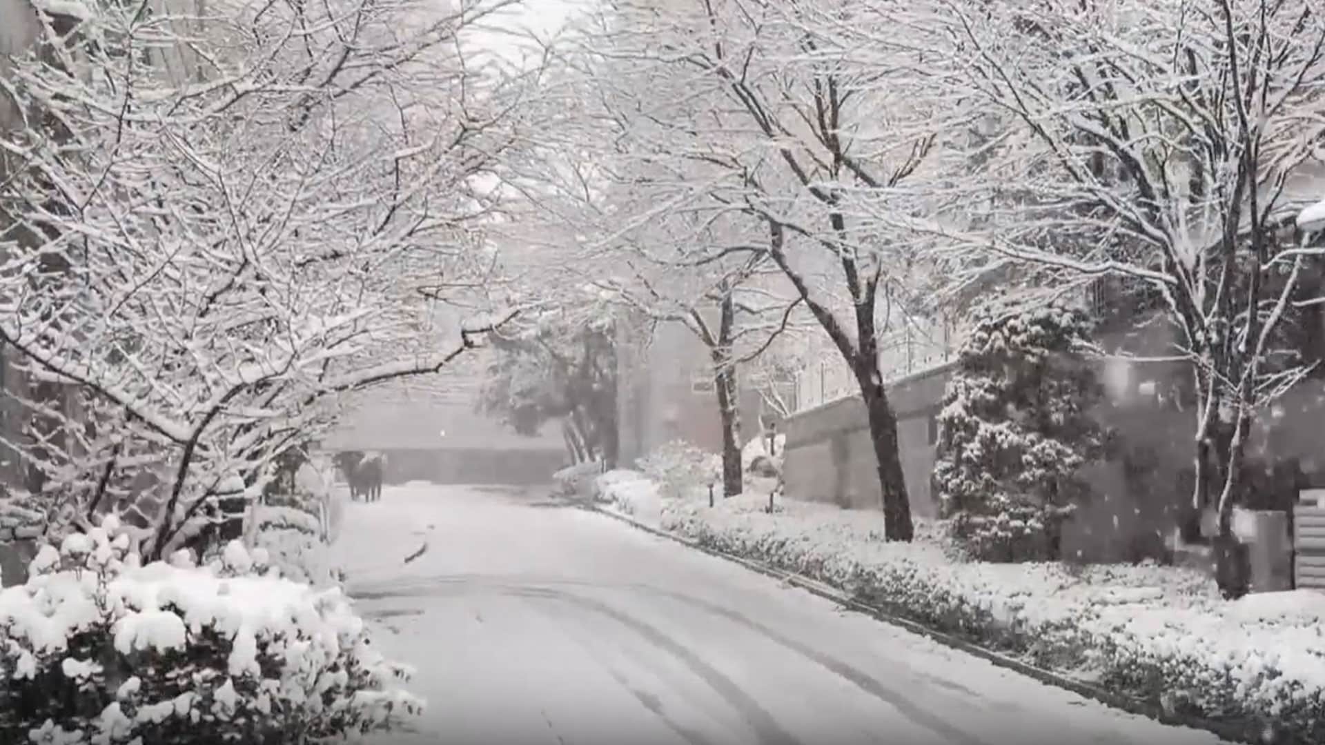 Seoul Hit By Worst Snowstorm In 52 Years; Flights Grounded, Services Disrupted| The World Report