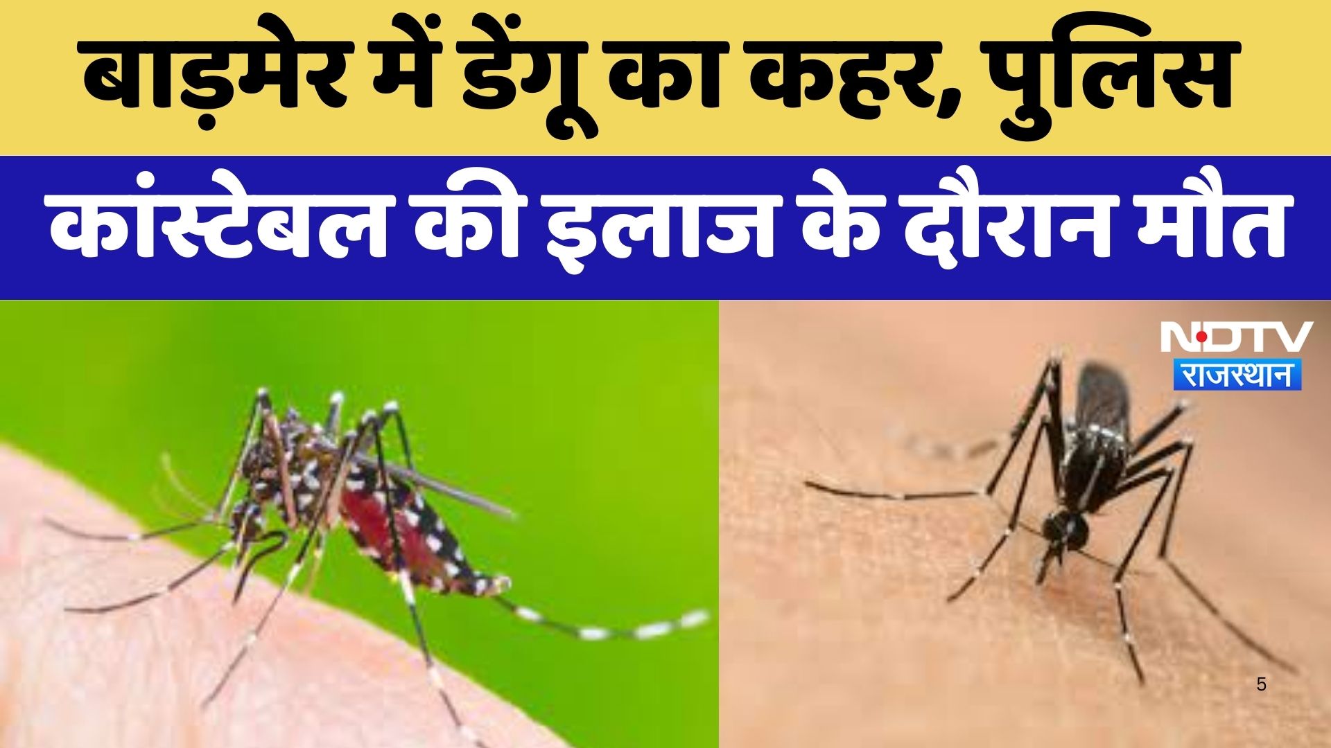 Rajasthan News : Barmer में Dengue का कहर, Police Constable की इलाज के दौरान मौत