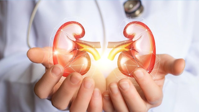 The theme for World Kidney Day 2025 is "Are your kidneys ok? Detect early, protect kidney health"