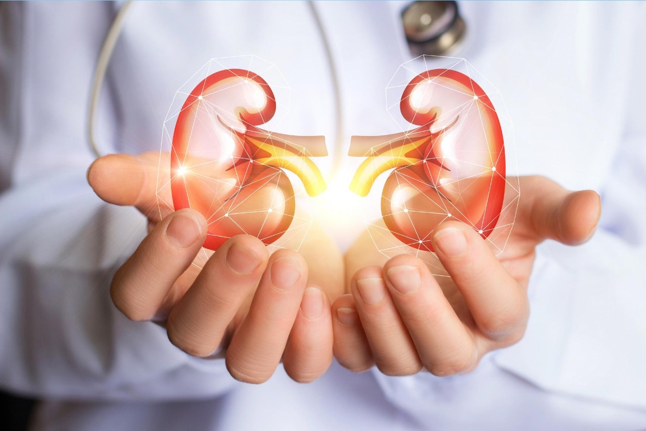 Regular checkups, a healthy diet and managing conditions can help protect kidney function