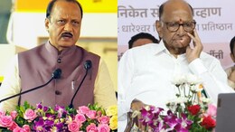 Rebel Uncle, Rebel Nephew: Tale Of 2 NCP Foundation Day Events In Pune