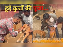 अंबिकापुर में पूरे विधि-विधान से हुई कुत्तों की पूजा,  जानें क्यों होता है 'कुकुर तिहार' का आयोजन  