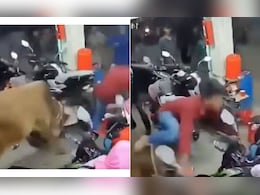 एकाएक बाइक एजेंसी में घुसा चला आया सांड, लाल शर्ट पहने शख्स को देख हुआ बेकाबू और फिर.. एकाएक बाइक एजेंसी में घुसा चला आया सांड, लाल शर्ट पहने शख्स को देख हुआ बेकाबू और फिर..